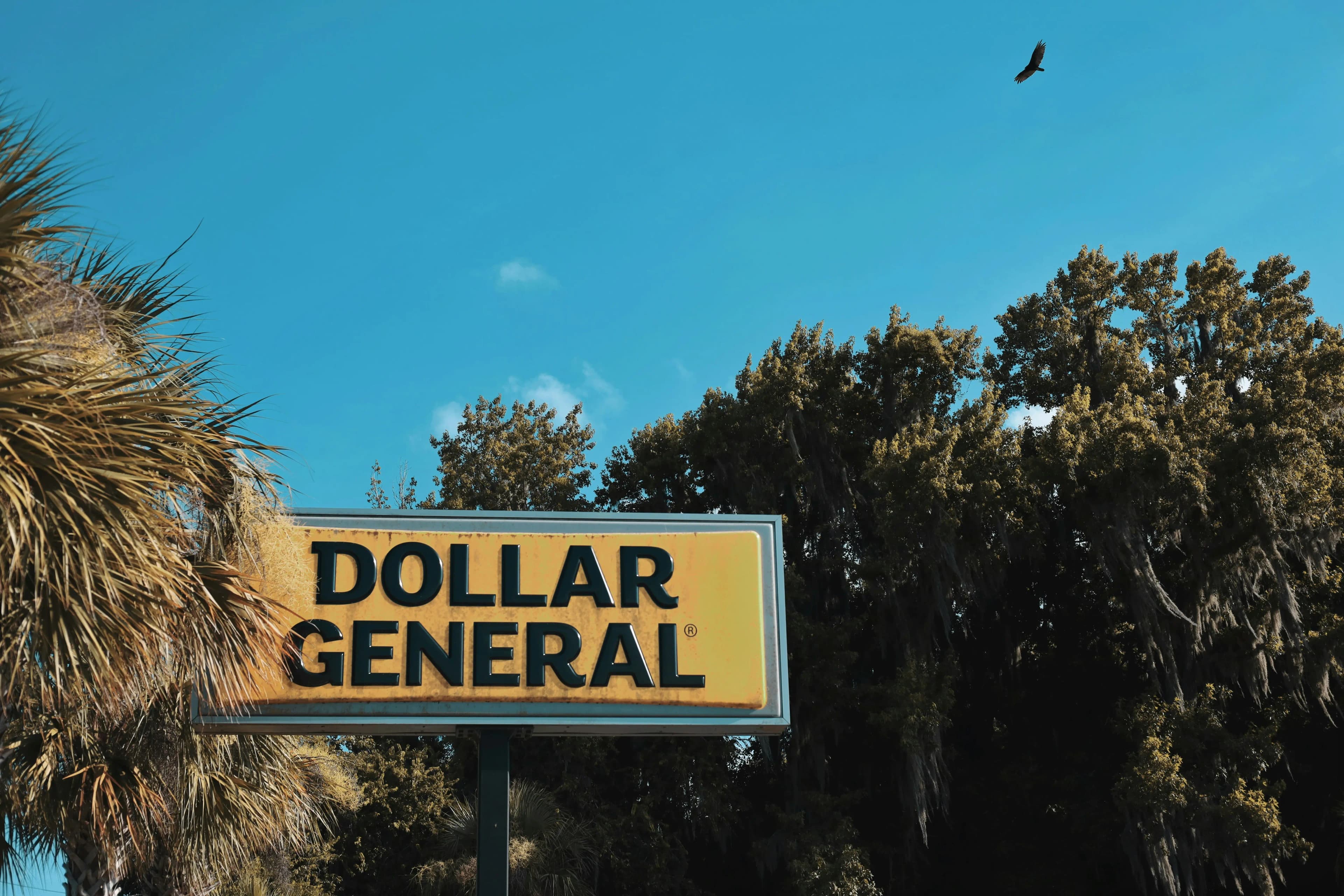 Dollar General - Net lease property in Little River, SC